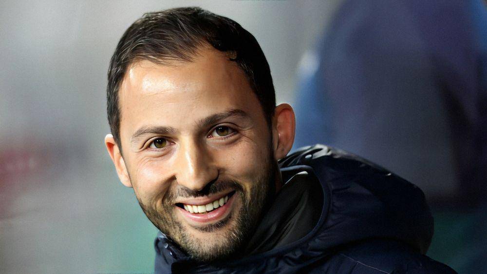 Domenico Tedesco (schalke04.de)
