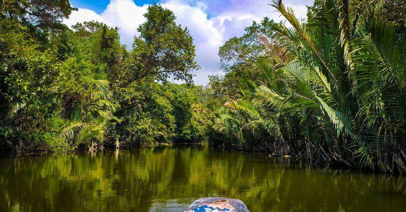 gambar aktivitas susur sungai di Kepulauan Handeuleum (instagram.com/ujungkulonindonesia)