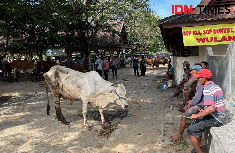 Jelang Idul Adha, Perputaran Uang di Pasar Hewan Capai Miliaran