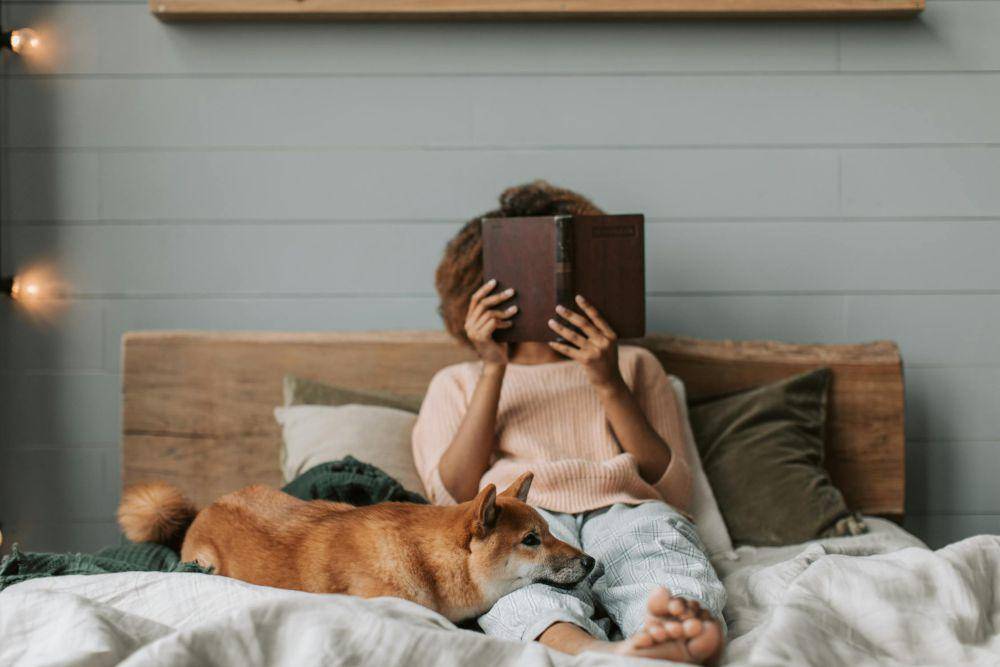 ilustrasi membaca buku di kamar (pexels.com/Vlada Karpovich)