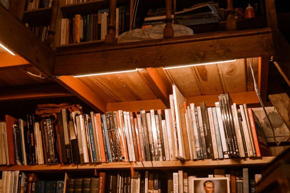 ilustrasi rak penuh buku (Pexels.com/Volkan Vardar)