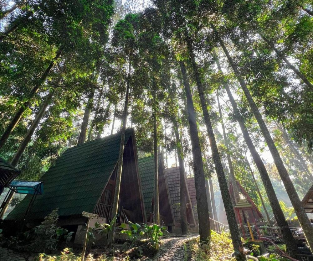 Wonderful Citamiang Bogor: Lokasi, Rute, Harga, dan Tips Wisata
