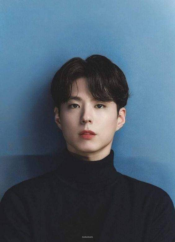 Comma hair pendek ala Park Bo Gum (pinterest.com)