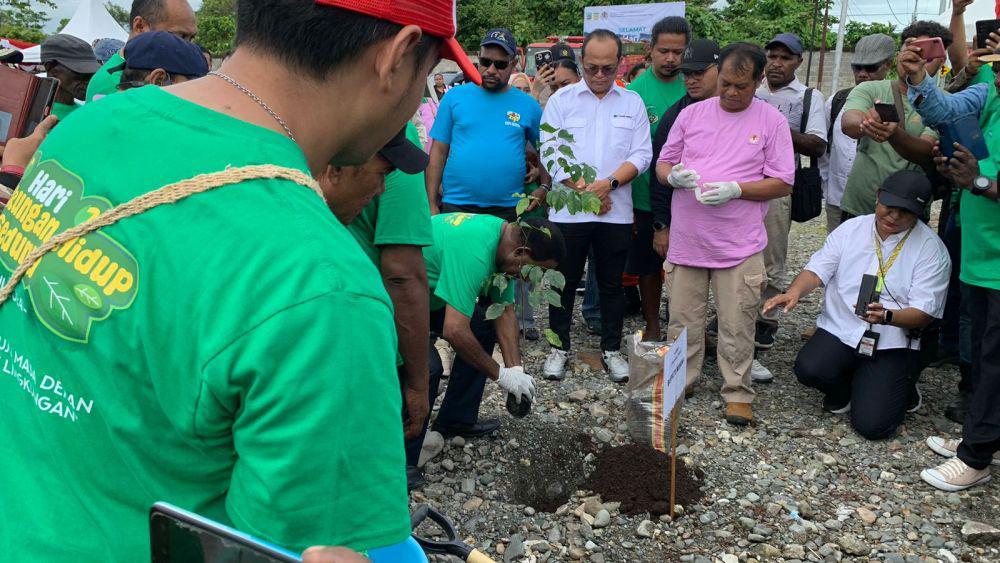 Hari Lingkungan Hidup, 400 Bibit Pohon Angsana Ditanam di Mimika