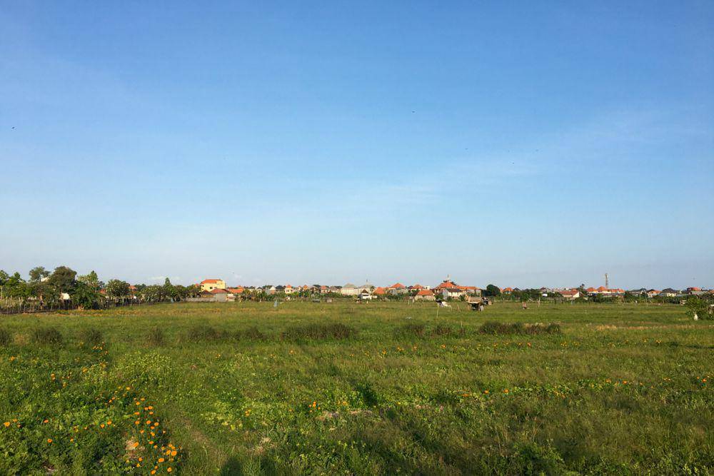 Selain sawah, ada juga kebun milik warga sekitar (Dok.Pribadi/Natalia Indah)