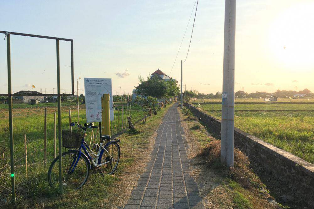 Jalan berpaving di tengah-tengah sawah (Dok.Pribadi/Natalia Indah)