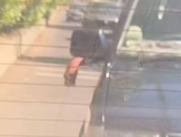 Polisi Identifikasi Pemilik Kendaraan Acungkan Celurit di Surabaya