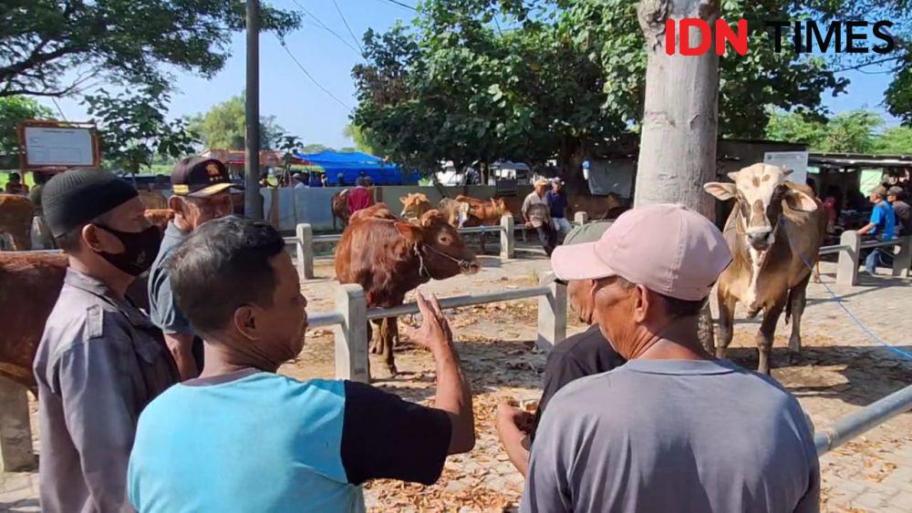 Jasa Manicure Pedicure Hewan Kurban di Magetan Ramai