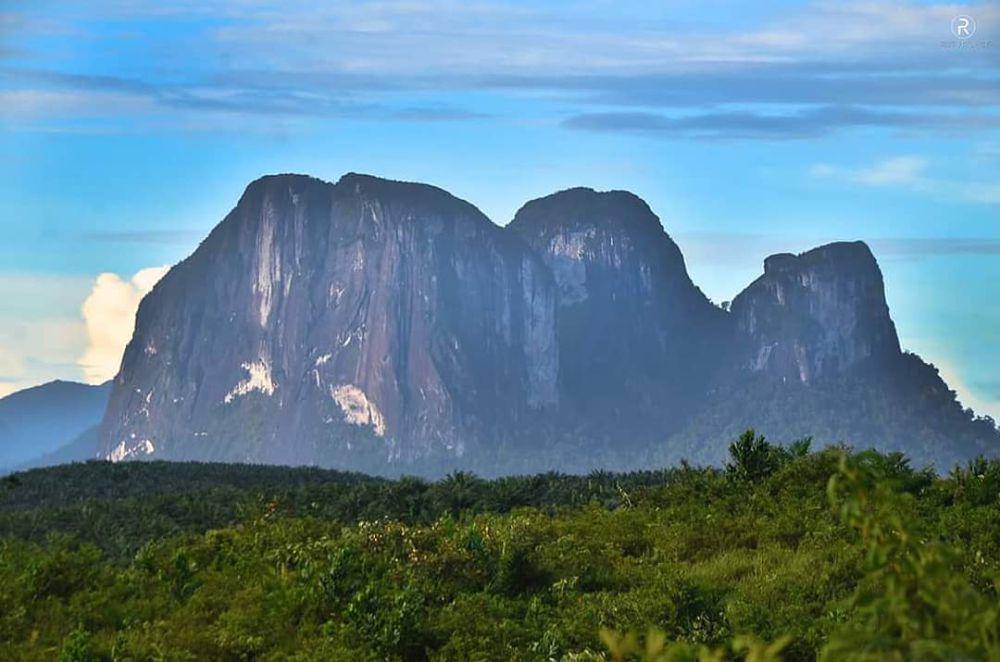 5 Fakta Bukit Batu Daya, Tebing Raksasa di Tengah Hutan Kalbar