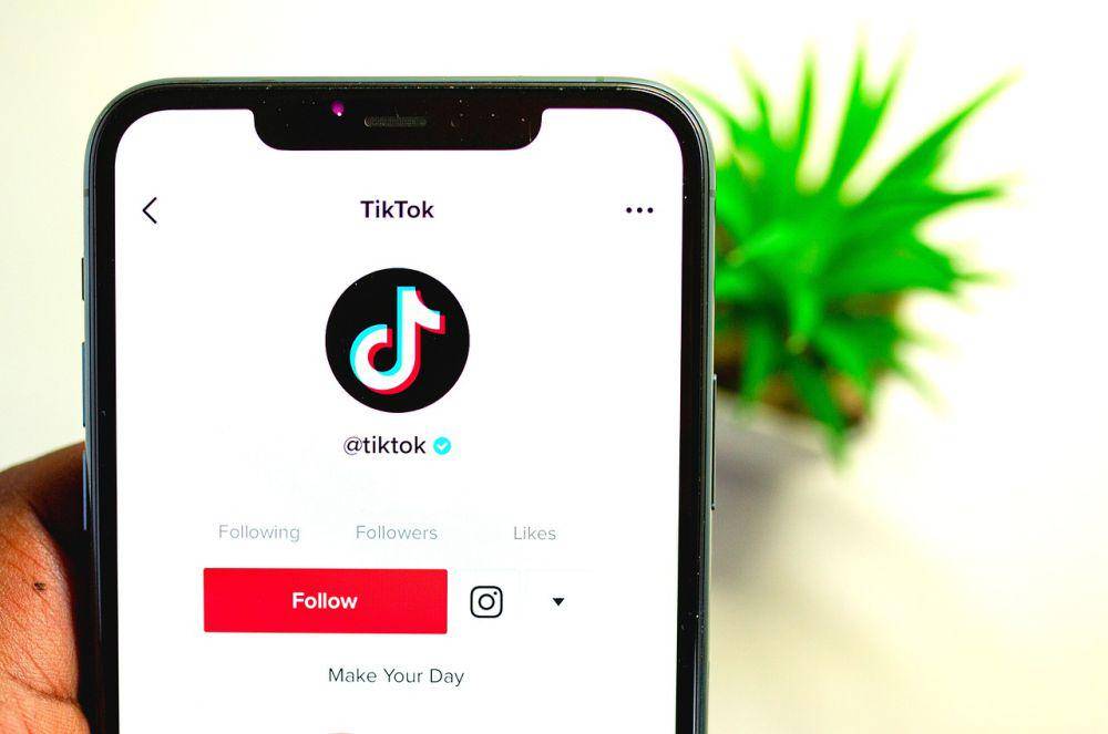 tampilan profil TikTok (pixabay.com/Sam riz)