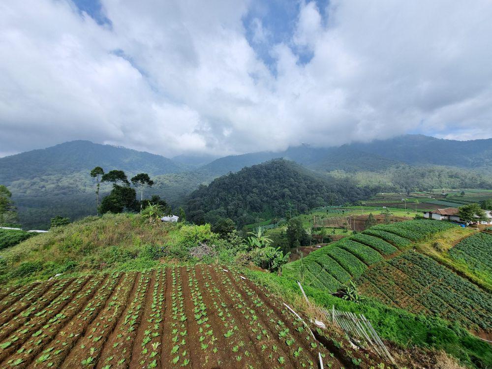Deforestasi di Malang Raya, Bencana Besar Menghantui Masa Depan