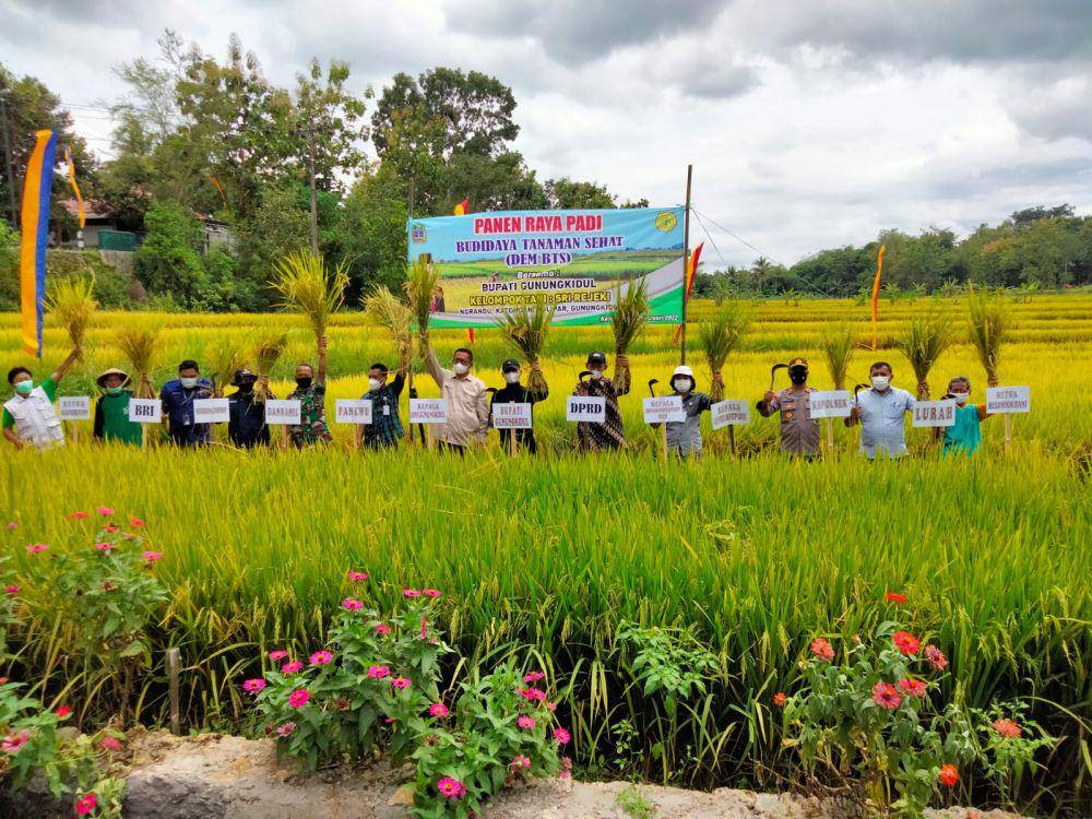 pertanian Gunungkidul (pertanian.gunungkidulkab.go.id)