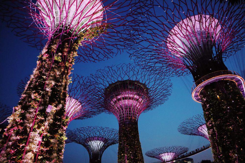 7 Event Gratis di Singapura Juni 2024, Ada Pertunjukan Aurora