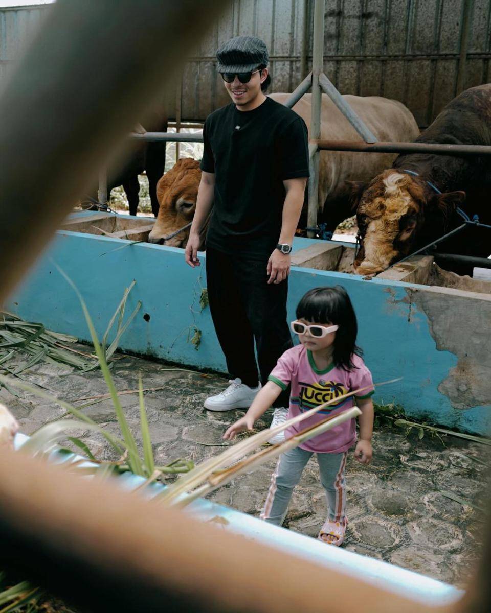 peternakan sapi Ameena (Instagram.com/attahalilintar)
