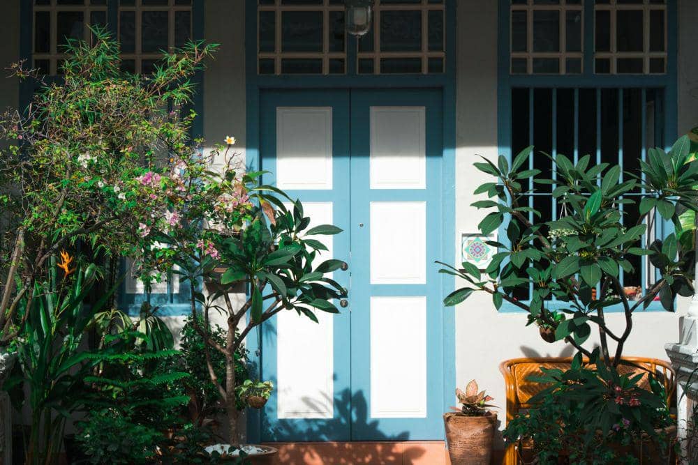 12 Tanaman Hias untuk Pintu Masuk Rumah, Percantik Dekorasi