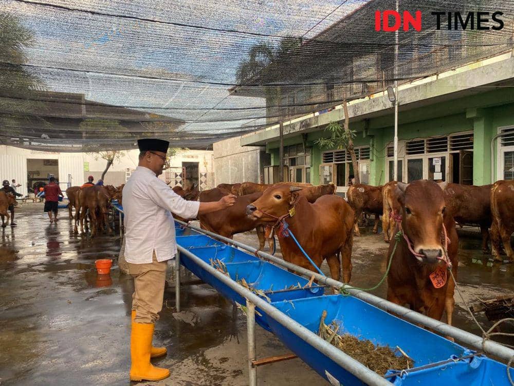 Direktur Utama (Dirut) PD RPH Surya, Fajar Arifianto Isnugroho saat berada di RPH Surya. (IDN Times/Khusnul Hasana)