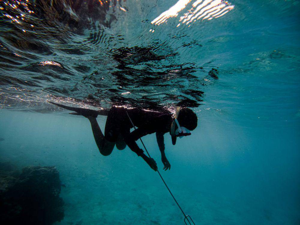 ilustrasi menangkap ikan dengan tombak (unsplash.com/Ibrahim Mushan)