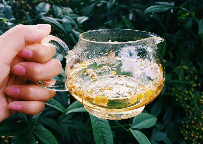 gambar teh chamomile (unsplash.comTEAcreativelife │ Soo Chung)