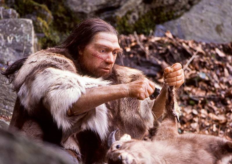 ilustrasi Neanderthal (commons.wikimedia.org)