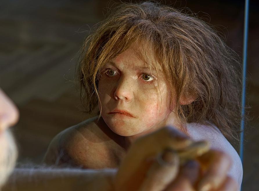 3 Perbedaan Neanderthal dan Homo sapiens, Mirip tapi Tak Sama