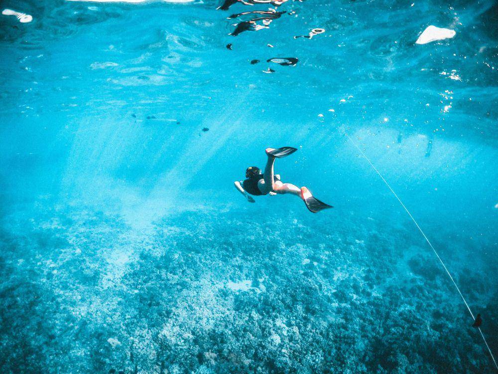 ilustrasi melihat keindahan bawah laut (unsplash.com/subtlecinematics)