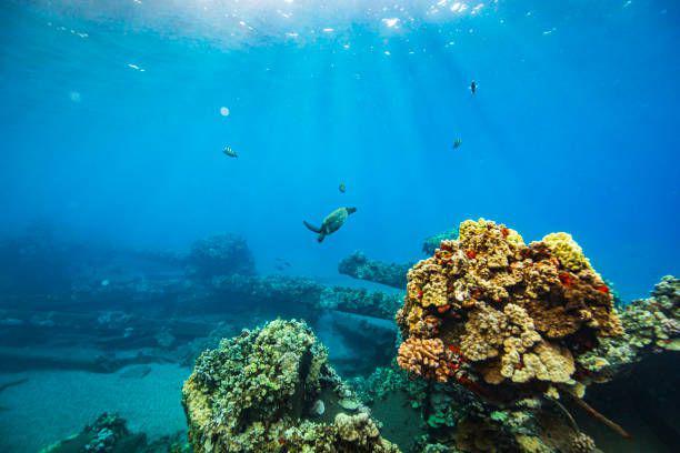 Kenapa Laut Berwarna Biru? Ini Penjelasan Sainsnya