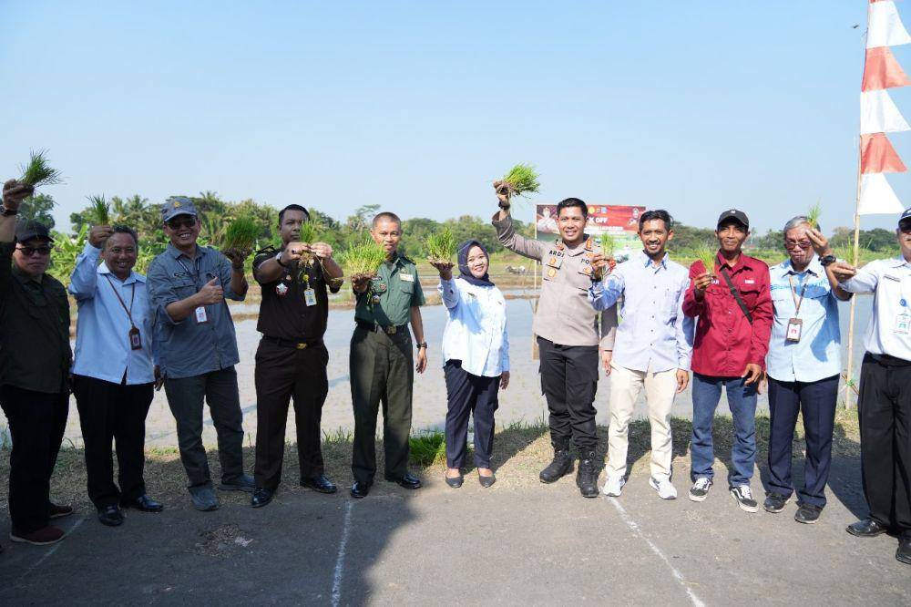 Optimalisasi lahan tidur di Sleman. (Dok. Istimewa)