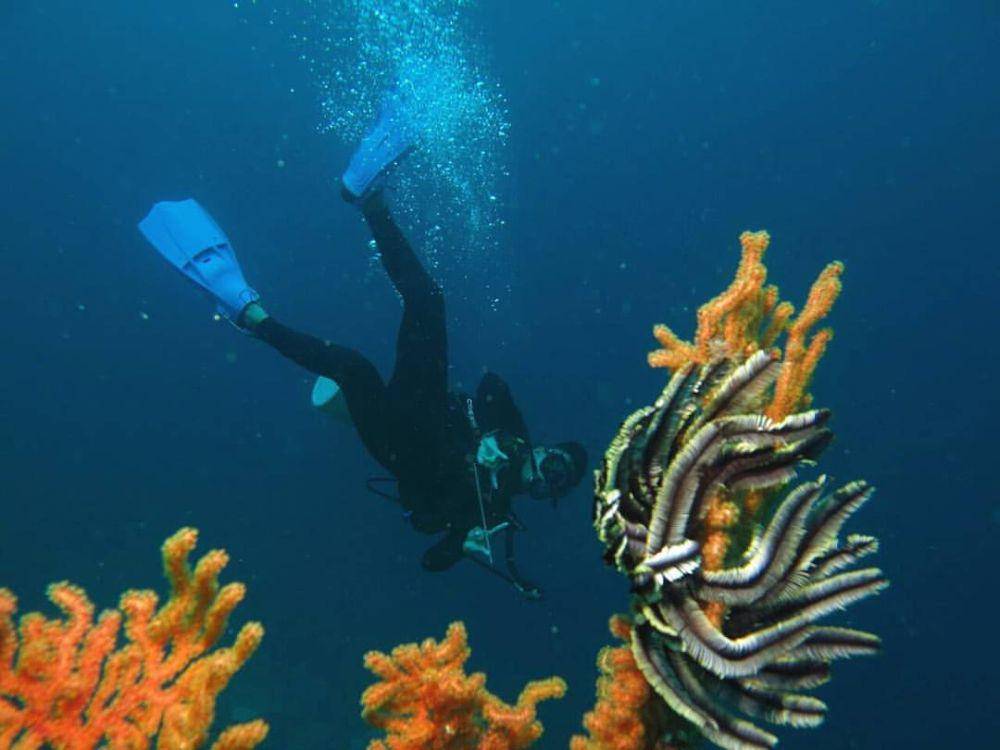 Wandoka Pinnacle, Wakatobi (instagram.com/samu.bahri)