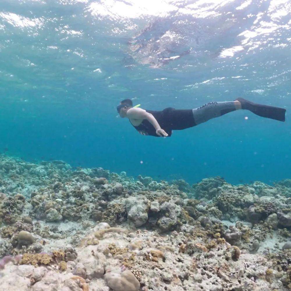 Sombu Dive, Wakatobi (instagram.com/marccel_lin)