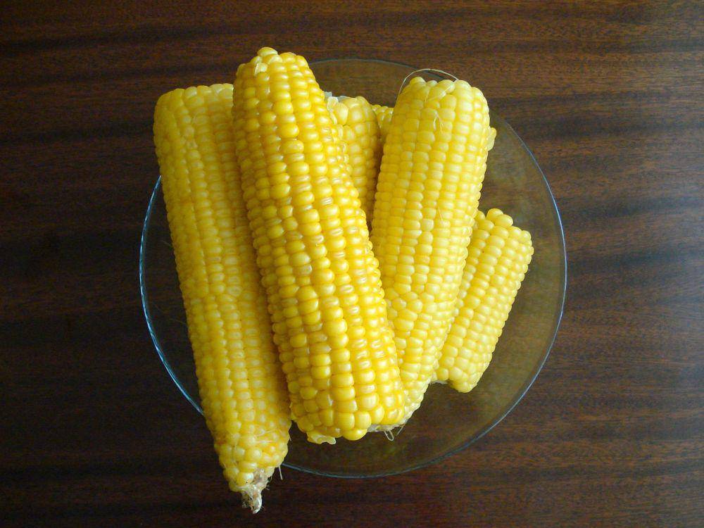 ilustrasi jagung manis (pixabay.com/Евгения Ксёнз)