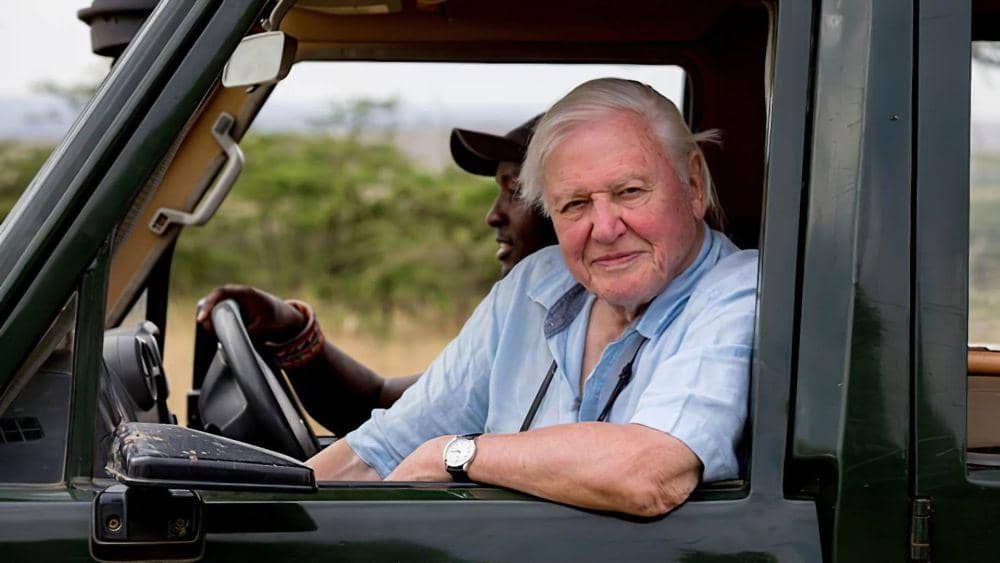 cuplikan film David Attenborough: A Life on Our Planet (dok. Netflix/David Attenborough: A Life on Our Planet)