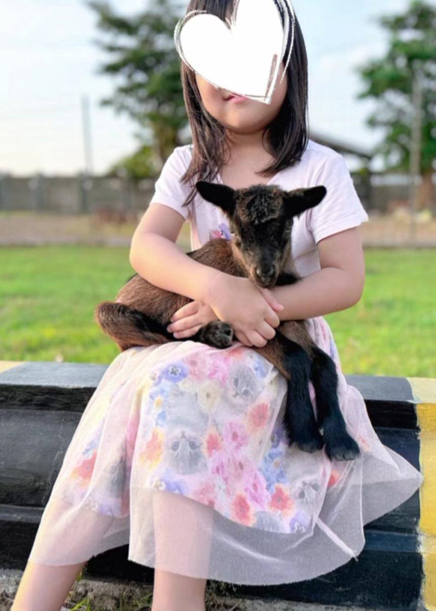 potret Chacha Frederica sambut kelahiran anak kambing kesayangan (instagram.com/chafrederica)