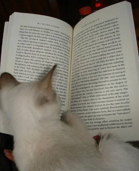 potret kucing ngantuk dan ketiduran saat baca (reddit.com/Truth_Speaker_1)