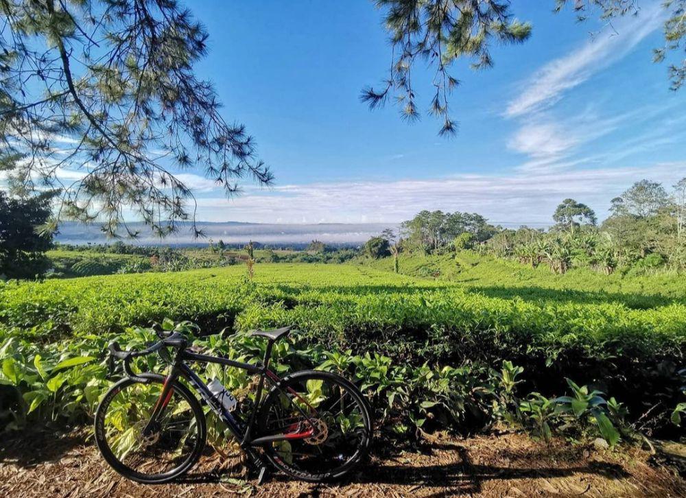 Info Wisata Pondok Halimun: Lokasi, Aktivitas, dan Tipsnya