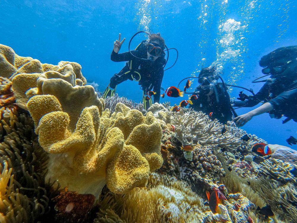 7 Spot Diving di Pulau Wangi-Wangi Wakatobi yang Wajib Dijelajahi