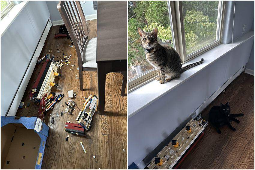 potret tingkah ngeselin kucing merusak LEGO (reddit.com/user/SmellyMcSmelly)