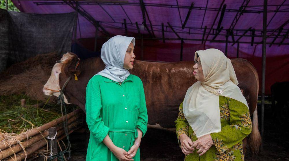 Grab Indonesia dan OVO akan berkurban empat ekor sapi limosin dan puluhan ekor kambing di Hari Idul Adha 1445 Hijriyah, Senin (17/6/2024). (dok. Grab)