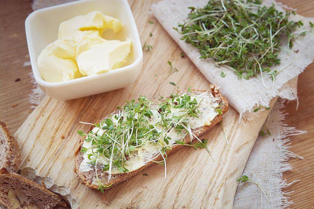 perbedaan salted butter dan unsalted butter (pixabay.com/Pezibear)