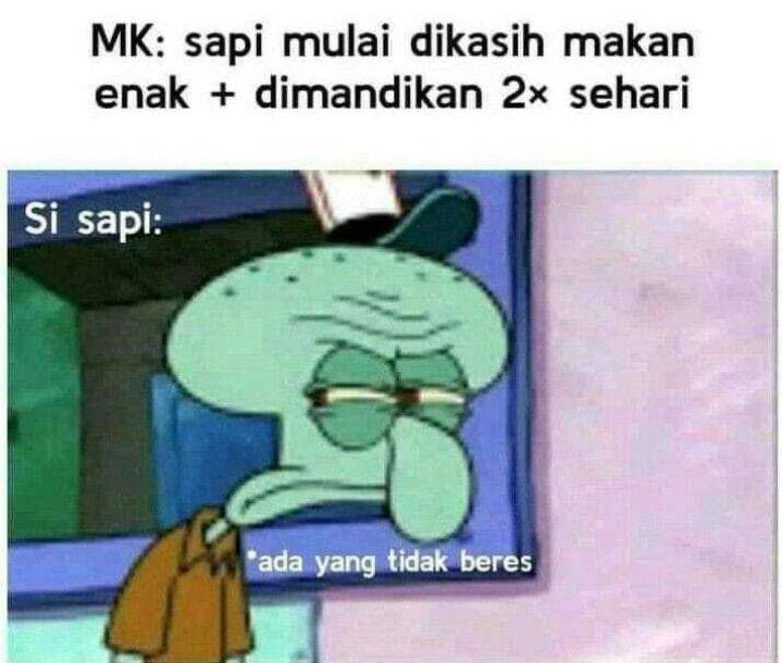 meme sapi (instagram.com/memecomic.id)