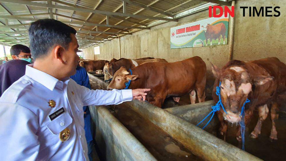 Ini Bacaan Niat Kurban untuk Diri Sendiri dan Sekeluarga