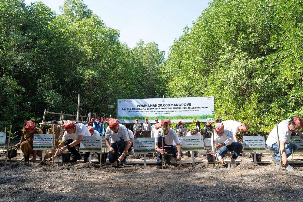 Hari Lingkungan Hidup, Yayasan AHM Tanam Puluhan Ribu Mangrove (Dok. IDN Times)