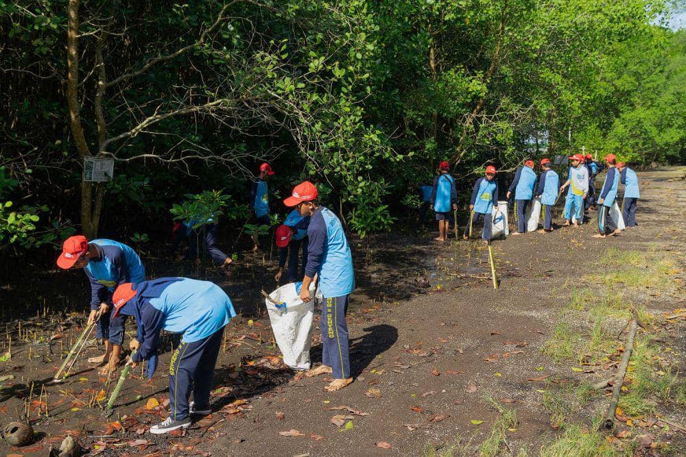 Hari Lingkungan Hidup, Yayasan AHM Tanam Puluhan Ribu Mangrove (Dok. IDN Times)
