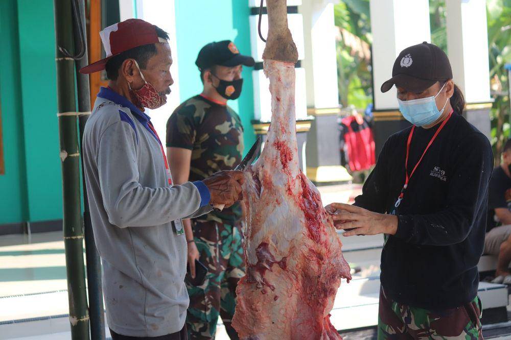 daging kambing