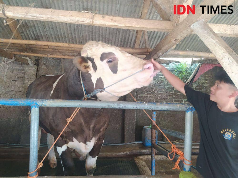 (Bangkit Rizki/IDN Times)