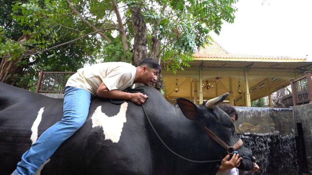 potret Irfan Hakim tunggangi sapi kurbannya (instagram.com/irfanhakim75)