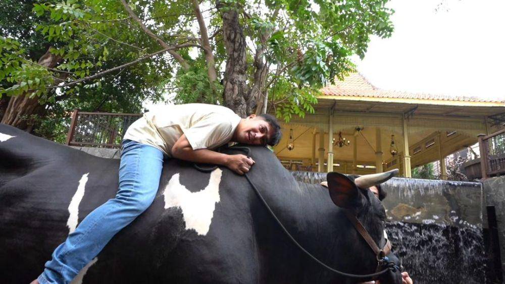 potret Irfan Hakim tunggangi sapi kurbannya (instagram.com/irfanhakim75)
