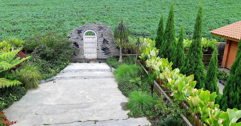 ‘Pintu ke mana saja’ di Hotel Bromo Terrace yang menjadi spot favorit sarapan. Instagram/bromoterracehotel