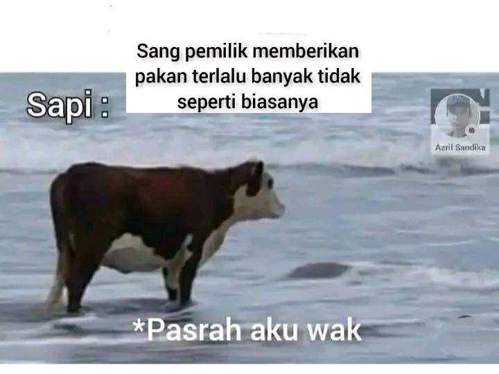 meme sapi (instagram.com/wkwkland_real)