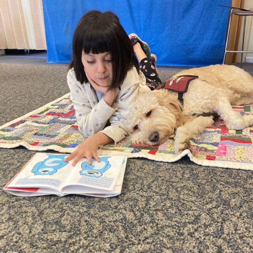 potret anjing baca buku (instagram.com/mcmlibrary)