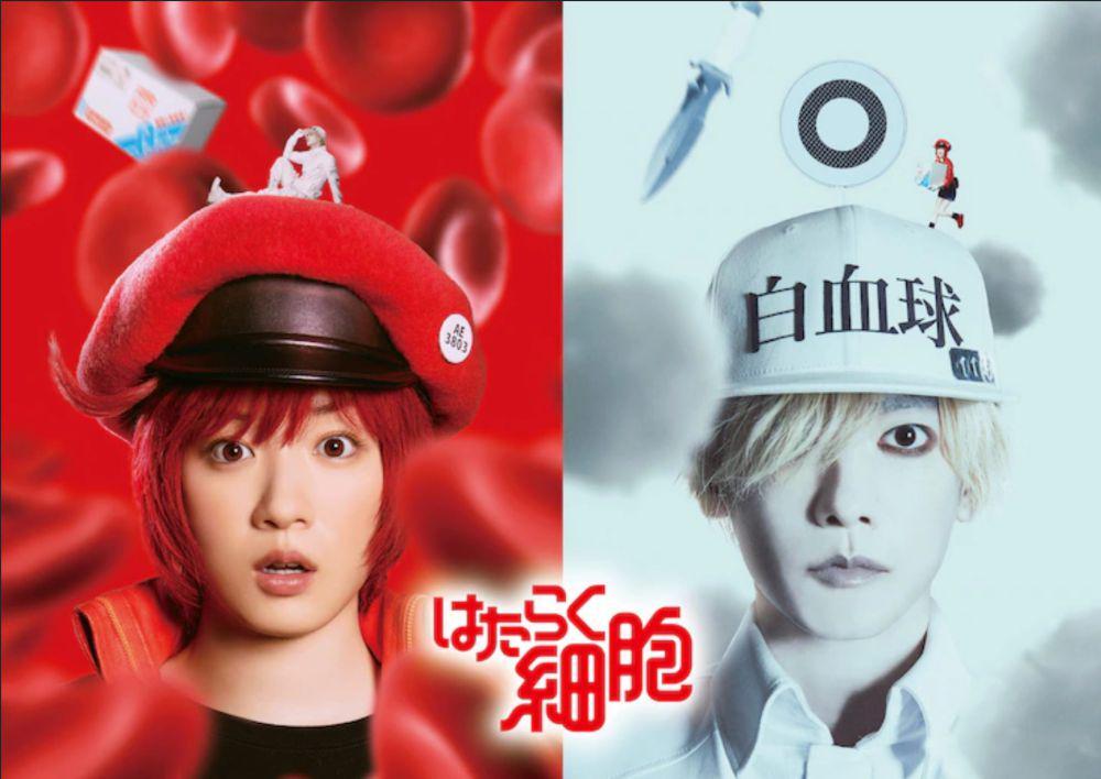 Sinopsis Film Cells at Work! Live Action dan Jadwal Tayangnya